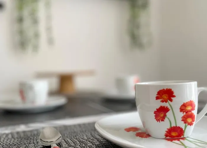 Appartement Le Platane - *