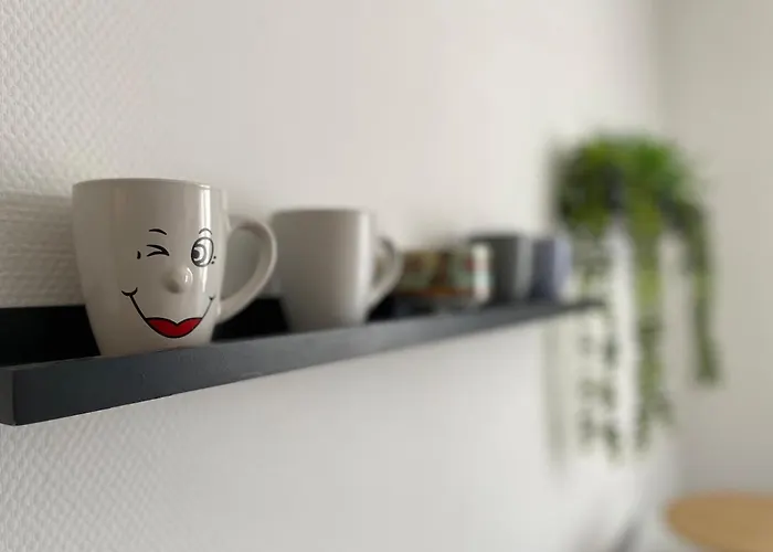 Le Platane - Appartement Colmar